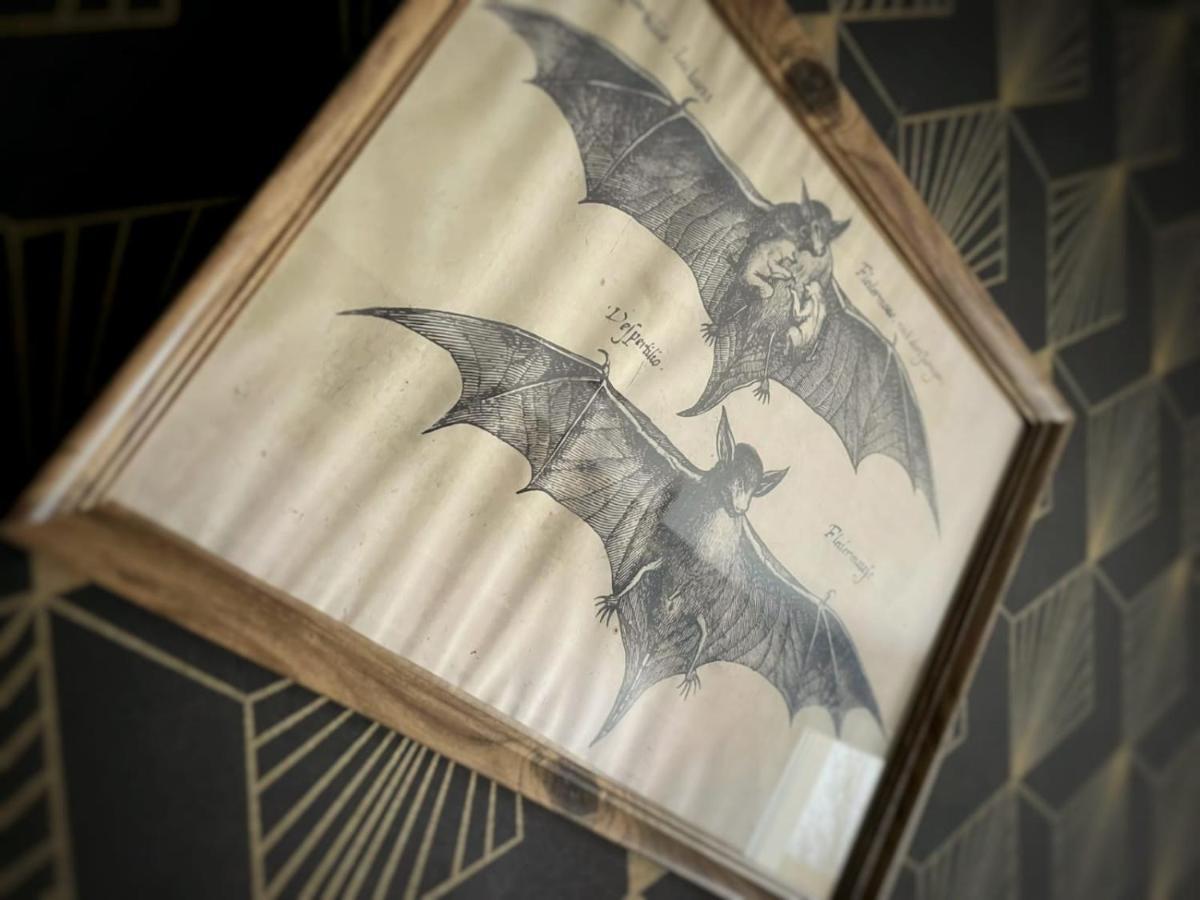 New - Bat'Appart - Dijon - Insolite 朗维克 外观 照片